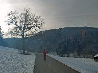 Bild 1 (10 Bildaufrufe)