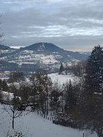 Bild 2 (12 Bildaufrufe)