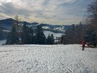 Bild 5 (11 Bildaufrufe)