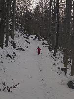 Ramsaukogel (12 Bildaufrufe) Ramsaukogel (12 Bildaufrufe)