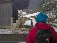 Bild 10 (10 Bildaufrufe)