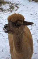 Bild 11 (12 Bildaufrufe)