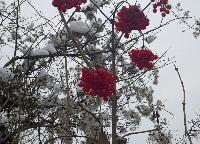 Bild 13 (9 Bildaufrufe)