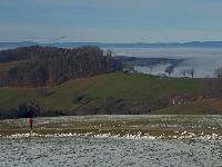 Bild 2 (2 Bildaufrufe)