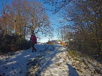 Bild 6 (2 Bildaufrufe)