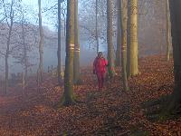 Bild 8 (2 Bildaufrufe)