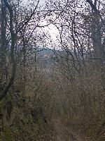 Reidlingberg (17 Bildaufrufe)