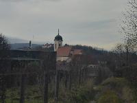 Reidlingberg (17 Bildaufrufe)