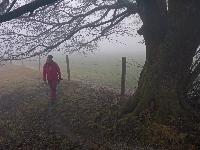 Plambacheck (20 Bildaufrufe)