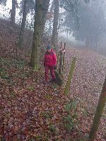 Plambacheck (21 Bildaufrufe)