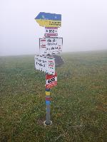 Plambacheck (31 Bildaufrufe)