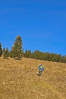 Tirolerkogel (38 Bildaufrufe)