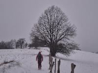 Kuhberg (33 Bildaufrufe) Kuhberg (33 Bildaufrufe)