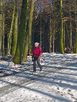 Edlitzberg (17 Bildaufrufe)