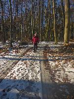 Edlitzberg (17 Bildaufrufe) Edlitzberg (17 Bildaufrufe)