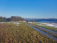 Edlitzberg (15 Bildaufrufe) Edlitzberg (15 Bildaufrufe)