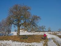 R&ouml;sselberg (20 Bildaufrufe)