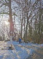 Rösselberg (11 Bildaufrufe) Rösselberg (11 Bildaufrufe)