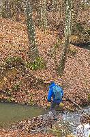 Kuhberg (10 Bildaufrufe)