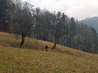 Gaisberg (18 Bildaufrufe) Gaisberg (18 Bildaufrufe)