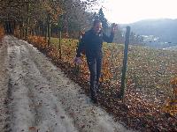 Gaisberg (35 Bildaufrufe)