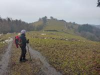 Gaisberg (39 Bildaufrufe) Gaisberg (39 Bildaufrufe)