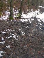 Sch&ouml;nberg (27 Bildaufrufe)