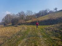 Eiserne Hand (14 Bildaufrufe)