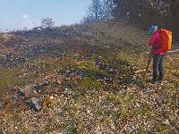 Eiserne Hand (14 Bildaufrufe)