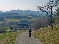 Durlaswaldh&ouml;he (27 Bildaufrufe)