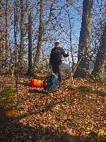 Durlaswaldh&ouml;he (28 Bildaufrufe)