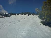 Gemeindealpe (36 Bildaufrufe) Gemeindealpe (36 Bildaufrufe)