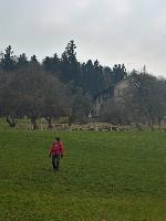 Hummelberg (22 Bildaufrufe)