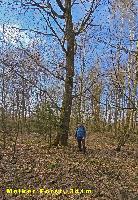 Rainberg (27 Bildaufrufe)