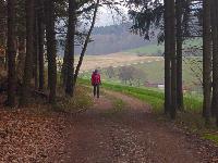 Edlitzberg (9 Bildaufrufe)