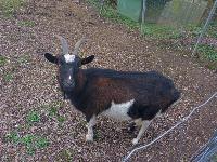 Edlitzberg (8 Bildaufrufe)