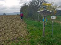 Kuhberg (18 Bildaufrufe)