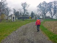 Kuhberg (20 Bildaufrufe)