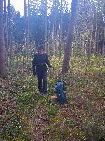 Forst am Berg (21 Bildaufrufe)