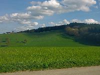 Forst am Berg (21 Bildaufrufe) Forst am Berg (21 Bildaufrufe)