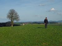 Forst am Berg (20 Bildaufrufe)