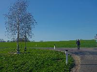 Forst am Berg (22 Bildaufrufe)