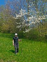 Hackstockloidl (23 Bildaufrufe)