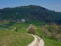 Hackstockloidl (24 Bildaufrufe)