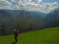 Hackstockloidl (18 Bildaufrufe)