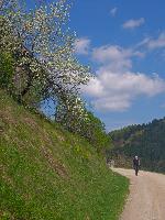 Hackstockloidl (24 Bildaufrufe)