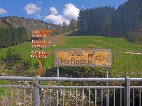 Hackstockloidl (23 Bildaufrufe)