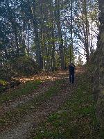 Hackstockloidl (21 Bildaufrufe)