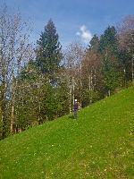 Hackstockloidl (22 Bildaufrufe)