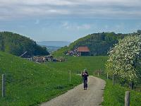 Hirschenberg (13 Bildaufrufe)